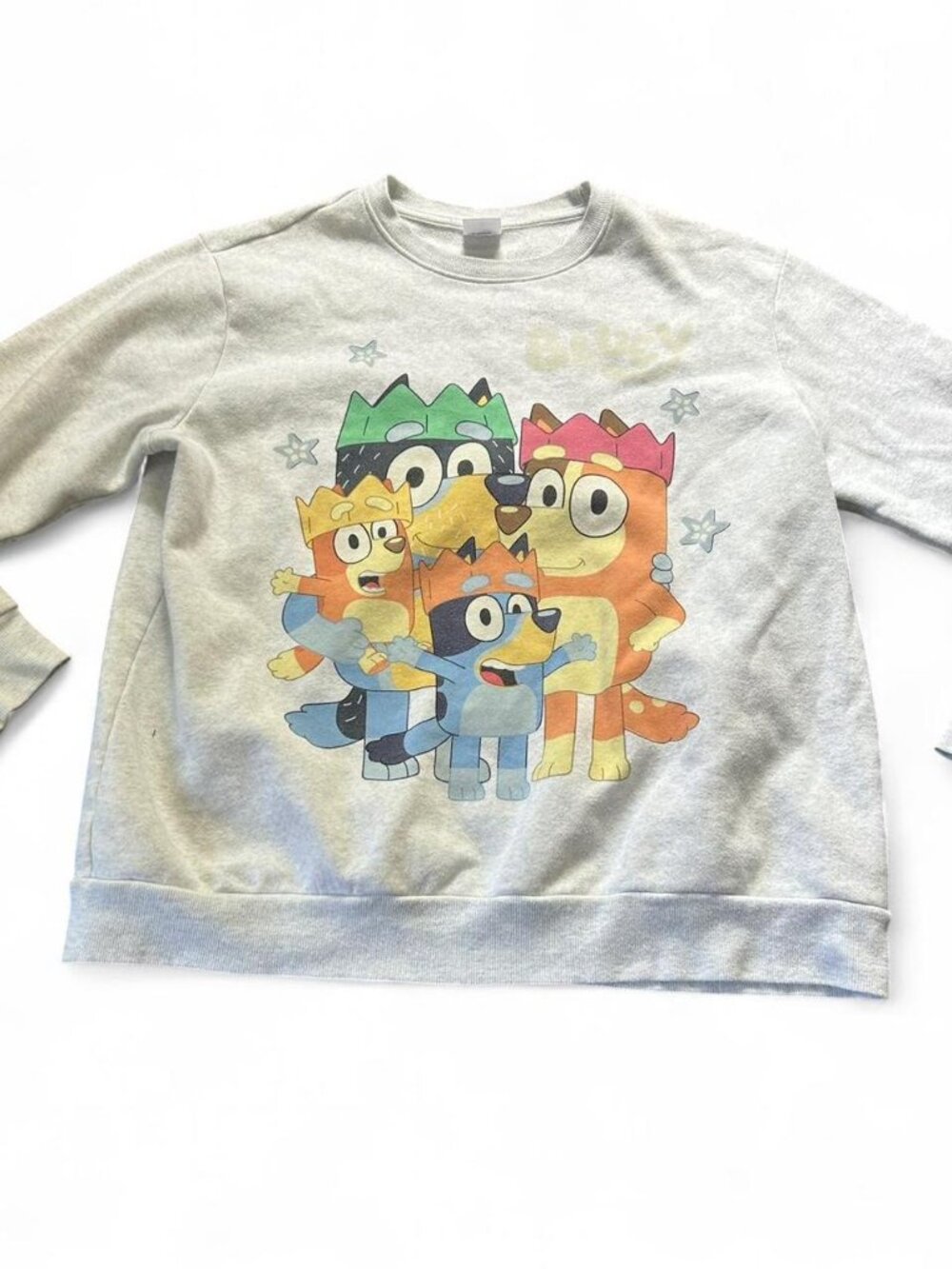 (Adult size ) Bluey light grey crewneck sweatshirt    Size XL   Disney cute